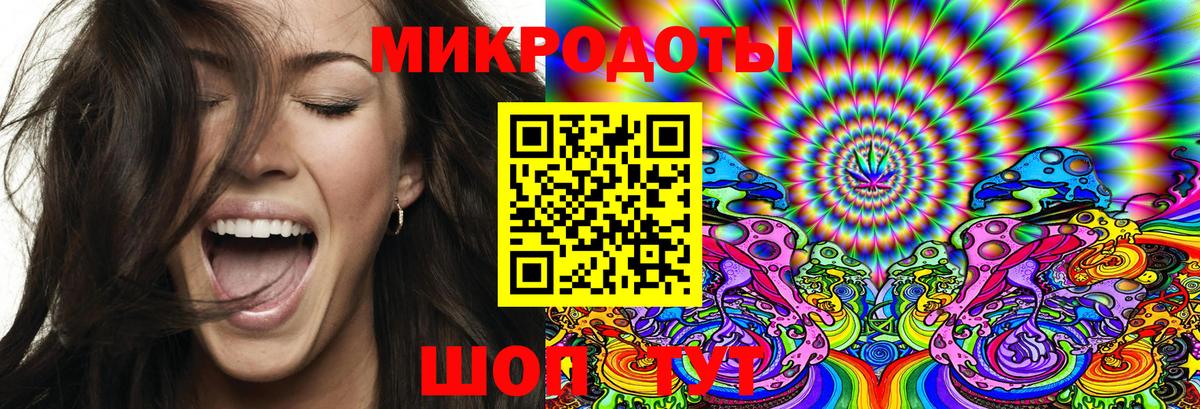 Псилоцибиновые грибы Psilocybe Подольск